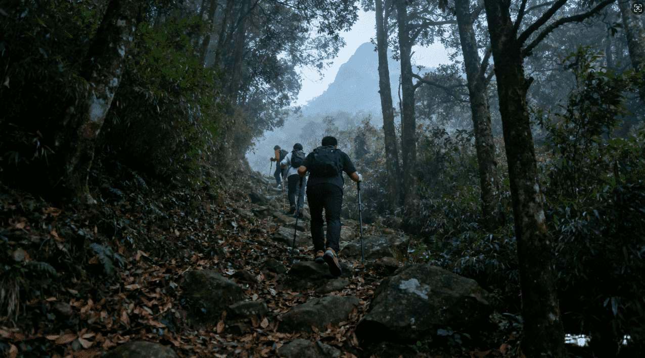 旋风app加速器二维码推广策略与技巧解析